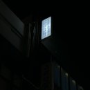 더유(THEYOU) 네이버블로그