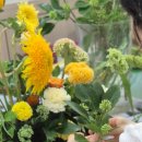 일상 속 생활 꽃꽂이 이미지