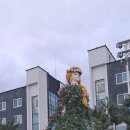 삼척해수욕장 이미지