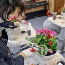 꽃과 식물로 정원가꾸기 이미지