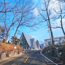 덕양충전소 | 고양 성사동 배다골베이커리포레 도심 속 숲속 산장 힐링 식물원 대형 신상 베이커리 카페 추천