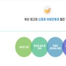 달팽이신경과 이미지
