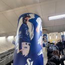 영남인쇄점 | 2026 대구국제마라톤 10.9km 참가 후기