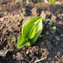 양금농장 이미지