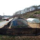 사정농장 이미지