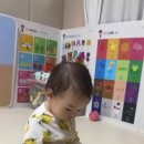 ☆ 친손녀 377일째, 꼬꼬맘 인형과 놀며 인지능력 발휘하는 영초롱 라베 '도아' ☆ 이미지