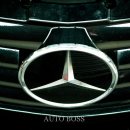 대한오토정비 이미지