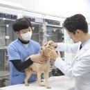 위더스동물의료센터 이미지