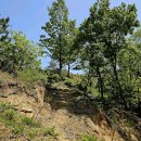 월천1리마을회관 이미지