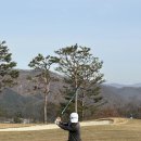 티지스크린골프 | 티지스톤골프벨트 봄철 라운딩에 딱