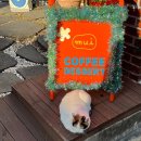 금오산로-25 이미지