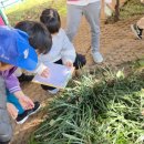 마을언덕사회적협동조합 이미지