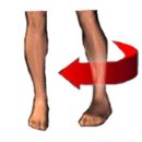 서호동-50 이미지