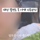 임우선 선사에스테틱