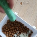 하이엔드덴탈 이미지