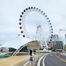 여행]1박2일 속초여행 첫째날 _ 진미막국수, 초당커피정미소, 아바이마을, 속초해변, 대포항 가리비구이