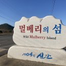 멀베리