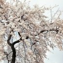 옥룡면사무소 이미지