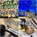 옥돌농장 | 대구가볼만한곳! 아이와 “대구아쿠아리움”에서 동물 먹이주기, 인어쇼 후기