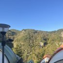 행정용 32번 | 원주 소금산 출렁다리 :: 피톤치드 글램핑 숙소 32번 후기