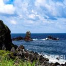 협자연대 이미지