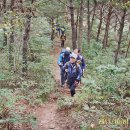 정봉농장 이미지