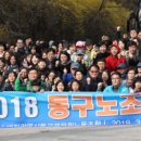 동구정화
