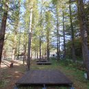 금강송체험야영장 이미지