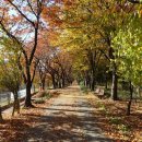 검단산(658m), 두리봉(고추봉 569m), 용마산(596m) 경기 하남 이미지