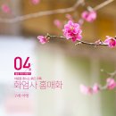 [주중]하동 쌍계사 십리벚꽃 길 04월03일(수)~04일(목) 신청하세요 이미지