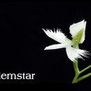 총신대학교 선교대학원 이미지