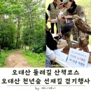 오대산 둘레길 산책코스 | 천년숲 선재길 걷기행사 현장 후기
