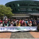 제주특별자치도지체장애인협회 이미지