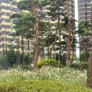 월배아이파크 2차 네거리 이미지