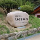 면장군 이미지