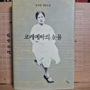 [손석춘] 코레예바의 눈물 이미지
