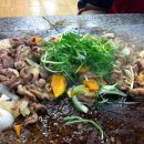 황금오리 이미지