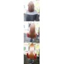 예쁜머리이쁜손톱 이미지
