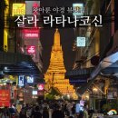 굴왓공원 | 방콕 가볼만한 곳 왓아룬 야경 뷰맛집 살라 라타나코신(예약 방법)