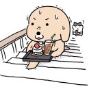 현대홈쇼핑 정지선 중화새우 내돈내산 구매후기