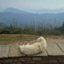 롯지85 | 엄마와 마르디히말 트래킹 Day 1 피탐데우랄리-러블리힐