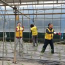 축산물공판장 이미지