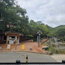 자하동길 18 | 물고기잡이까지 돗자리만 들고와~! 생생한 [향교계곡] 후기/주차/아기랑명당자리/위치/어른추천장소/화장실