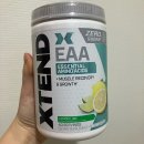 라임오렌지 | XTEND EAA 레몬라임 내돈내산 후기 + BCAA 오렌지, 포도, 망고 먹어봄!