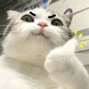 W10] 아이폰스냅 : 시즌오브어스 계약 후기(짝꿍할인O)