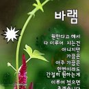 ♤내 돈♧ 이미지