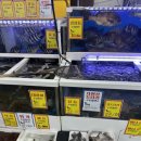 활어회포장 이미지