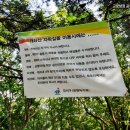 강서둘레길(개화산,치현산,한강코스) 이미지