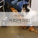퍼피 앤 퍼피(PUPPY & PUPPY) 이미지