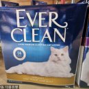 카모션정비센타 이미지